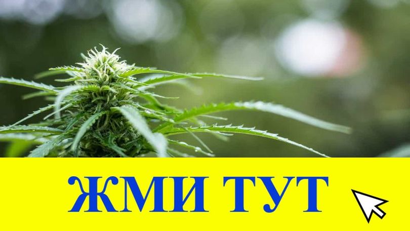 Купить наркотики в Тамбове